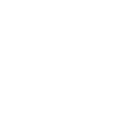 Insta icon