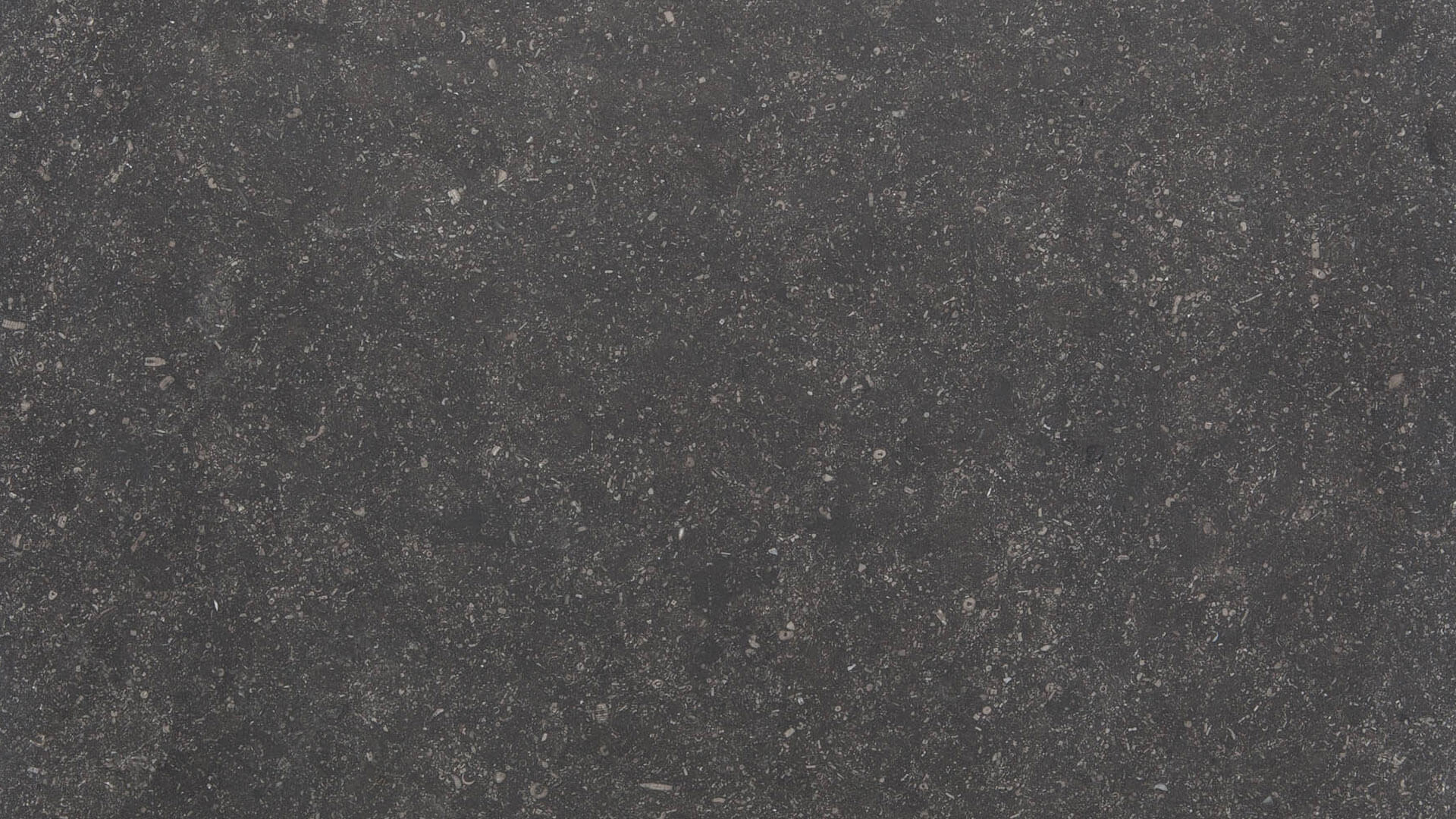 Kalkstein: Belgian Bluestone